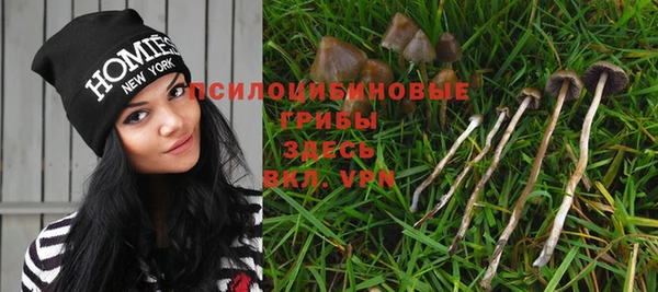 мдпв Нея