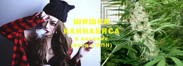соль ск Михайлов