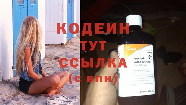 индика Теберда