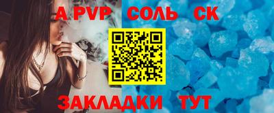 индика Камышлов