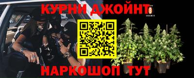 меф Гай