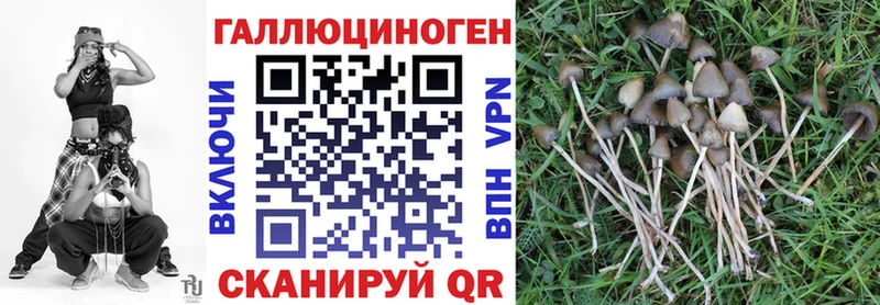 Псилоцибиновые грибы мухоморы  что такое наркотик  Калининград 