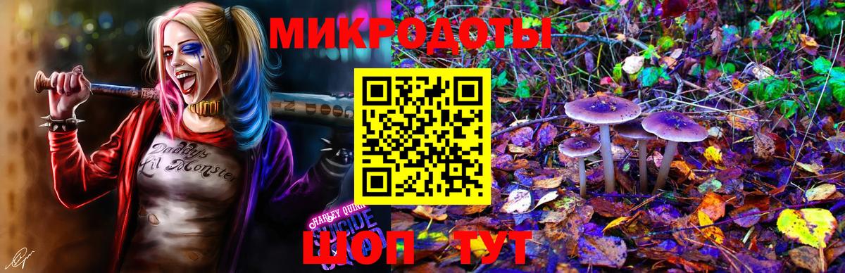 Галлюциногенные грибы Cubensis  Вход с VPN  Псилоцибиновые грибы Cubensis  Калининград 