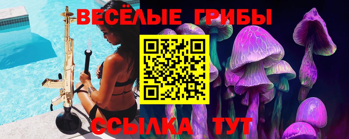 Галлюциногенные грибы Psilocybine cubensis  Псилоцибиновые грибы GOLDEN TEACHER  Калининград 