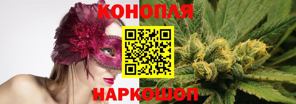 Конопля тримм  Вход с VPN  Калининград  Каннабис гибрид 